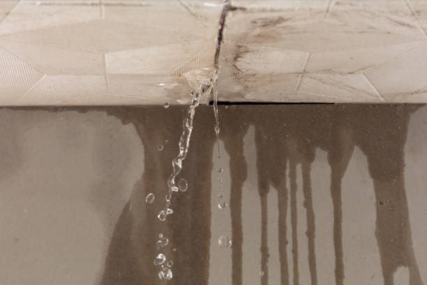 Professional Flood Damage Cleanup technician working in Nunda, SD